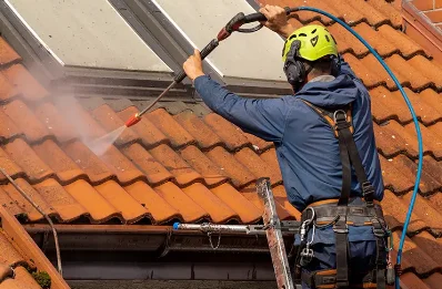 Démoussage et hydrofuge de toiture à Villemanoche